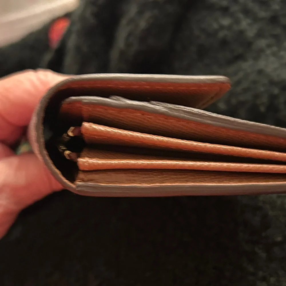 Louis Vuitton Classic Brown Monogram‎ Wallet CA0068